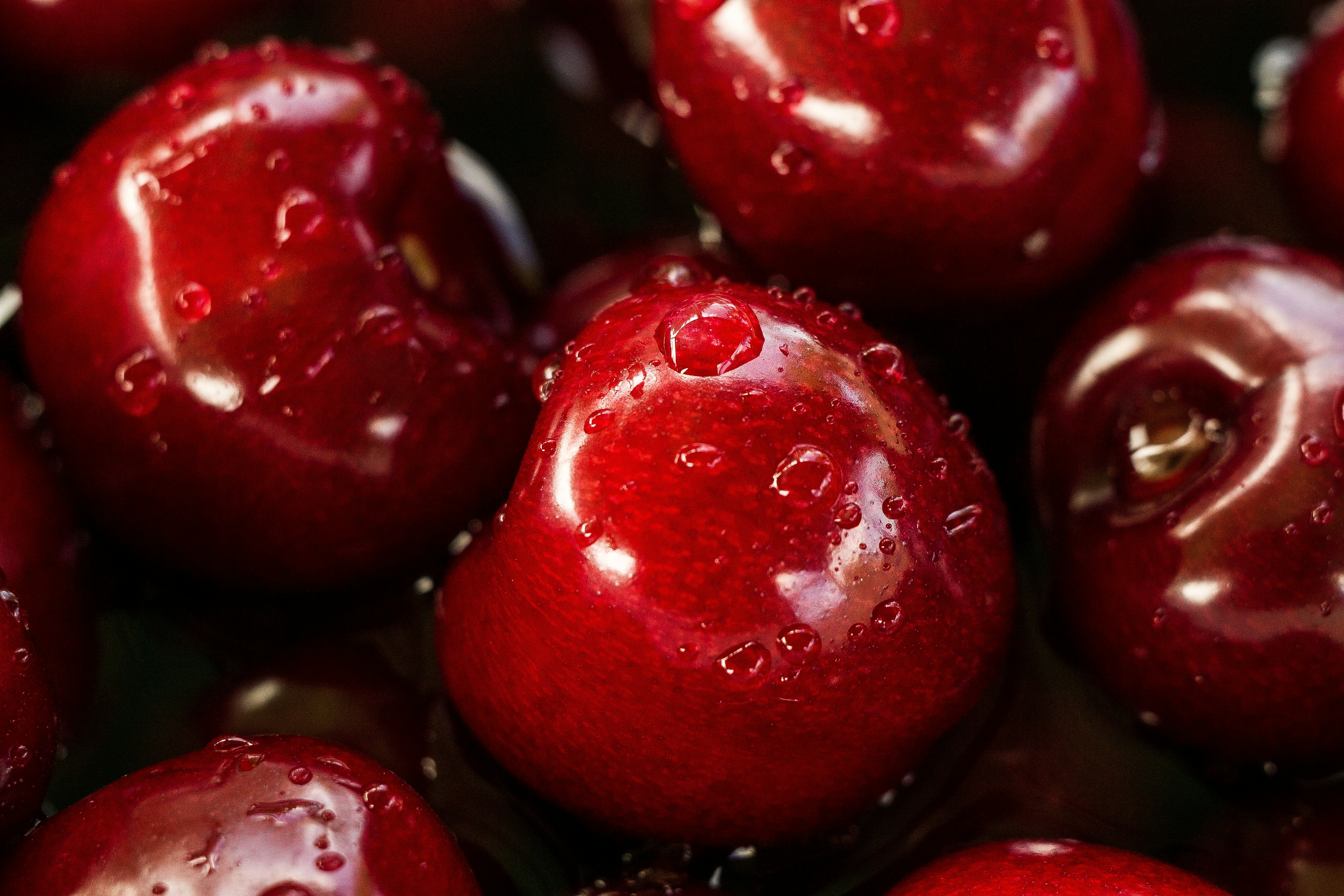 Rodajas de cítricos y frutos rojos